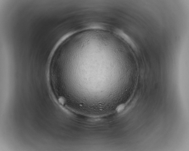 X0000113541331200909250918