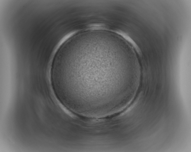 X0000113541333200909250918