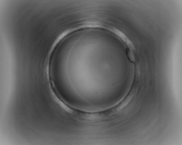 X0000113541334200909250918