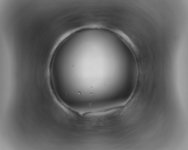 X0000113541335200909250918