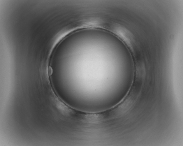 X0000113541336200909250918