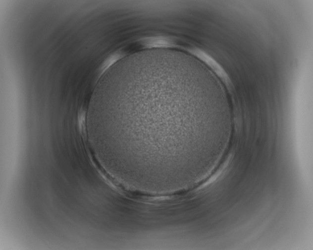 X0000113541337200909250918