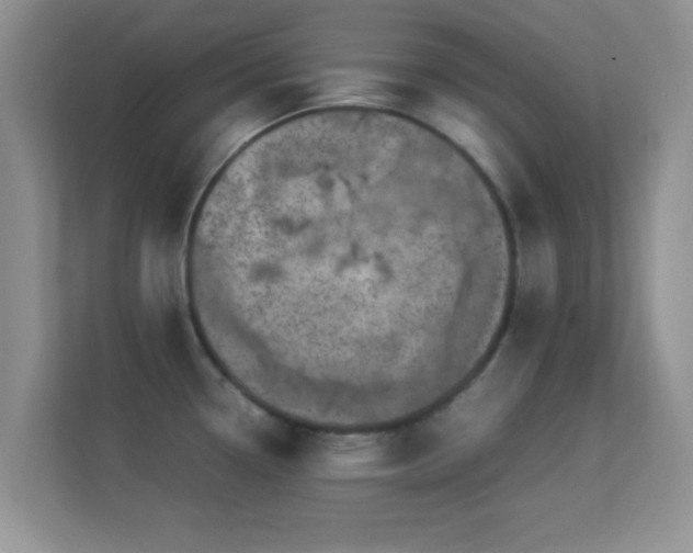 X0000113541338200909250918