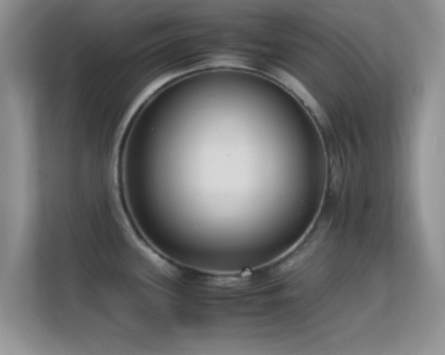 X0000113541339200909250918