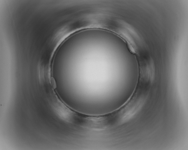 X0000113541340200909250918