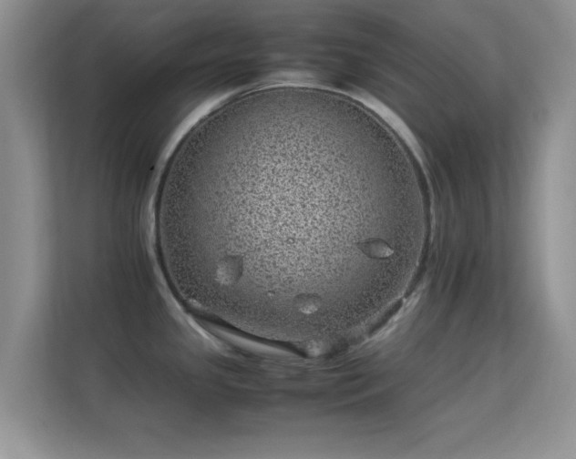 X0000113541341200909250918