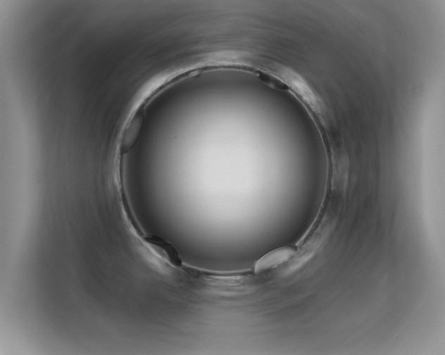 X0000113541342200909250918