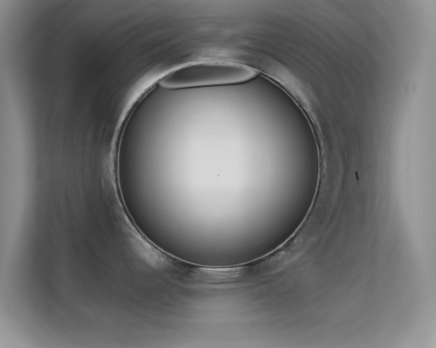 X0000113541344200909250918