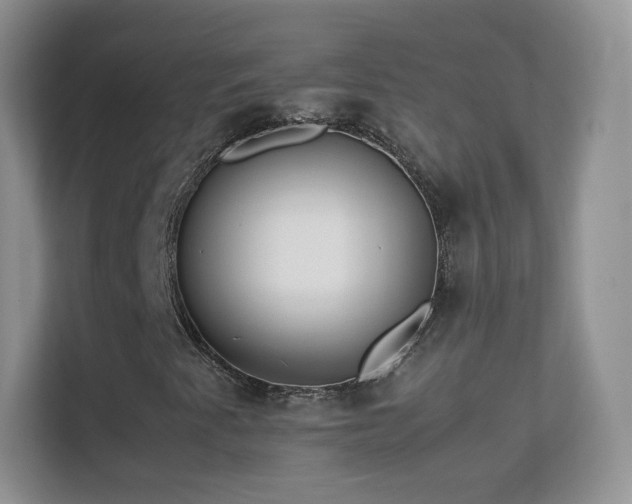 X0000113541345200909250918