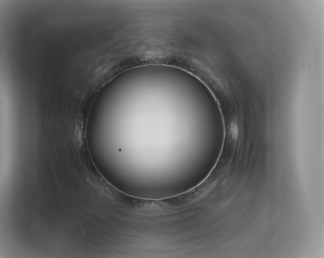 X0000113541348200909250918