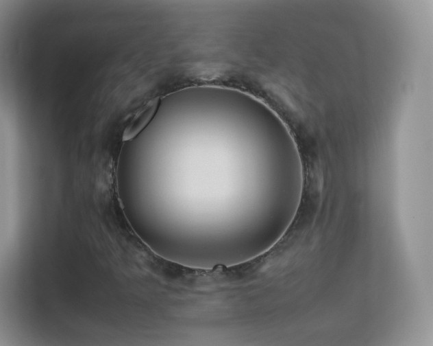 X0000113541349200909250918