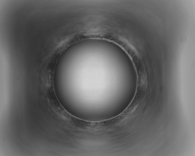 X0000113541350200909250918