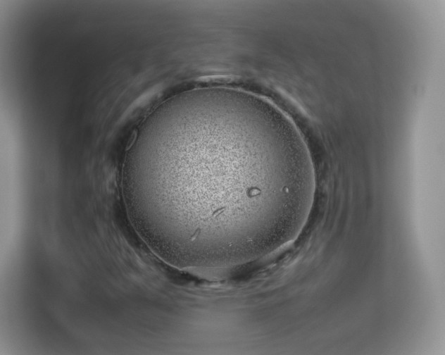 X0000113541351200909250918