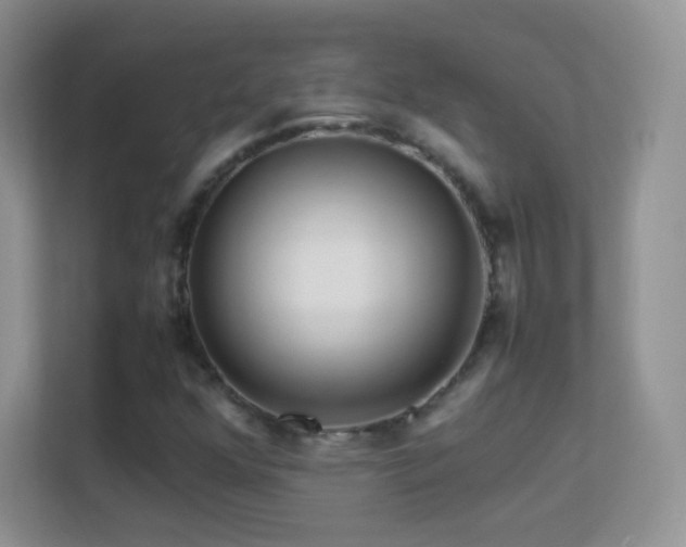 X0000113541352200909250918