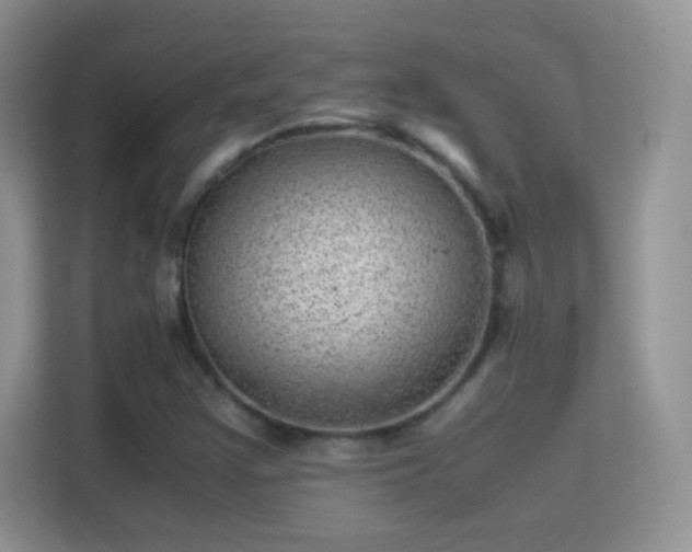 X0000113541355200909250918