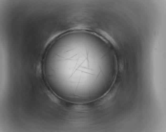 X0000113541356200909250918