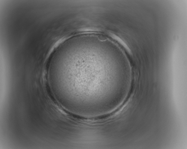 X0000113541357200909250918