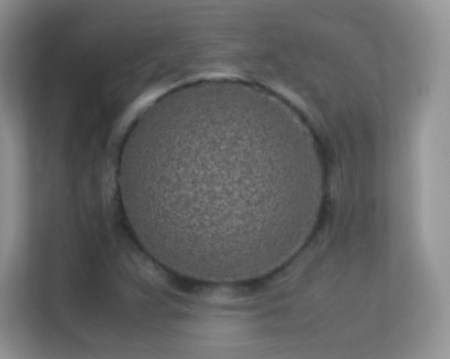 X0000113541359200909250918