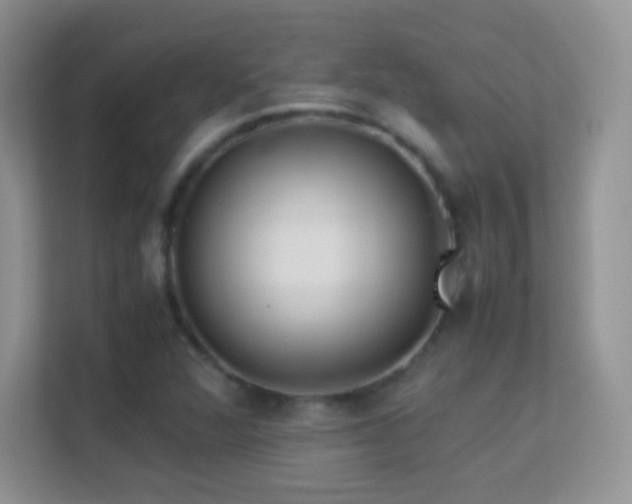 X0000113541360200909250918