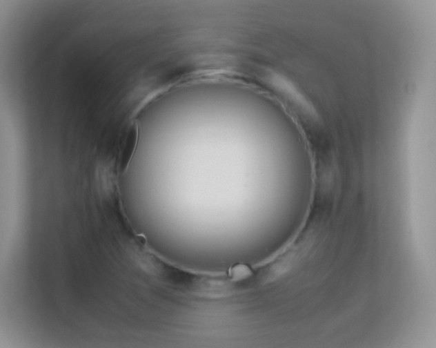X0000113541361200909250918