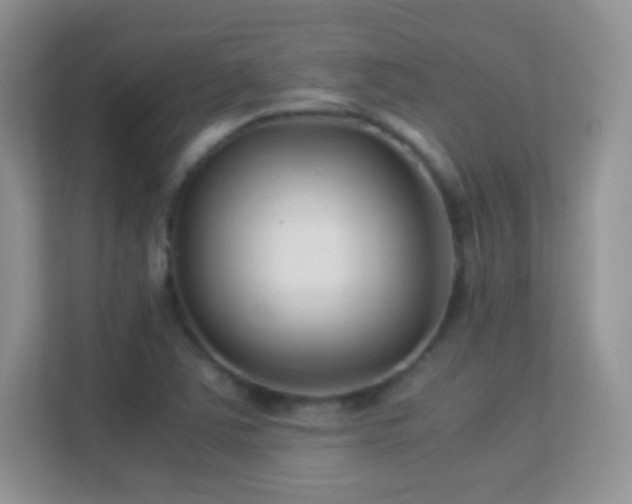 X0000113541363200909250917