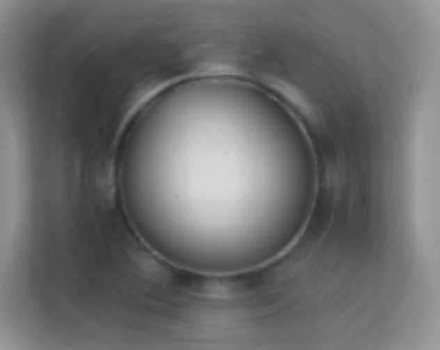 X0000113541364200909250917