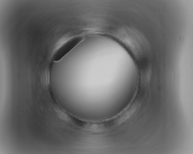 X0000113541365200909250917