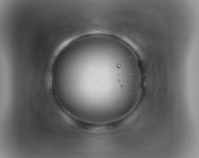 X0000113541367200909250917
