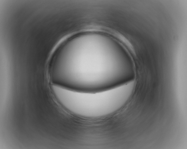X0000113541368200909250917