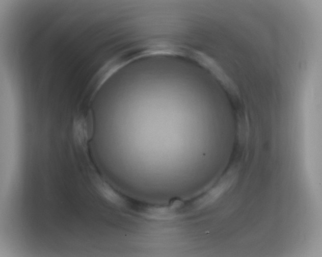 X0000113541369200909250917