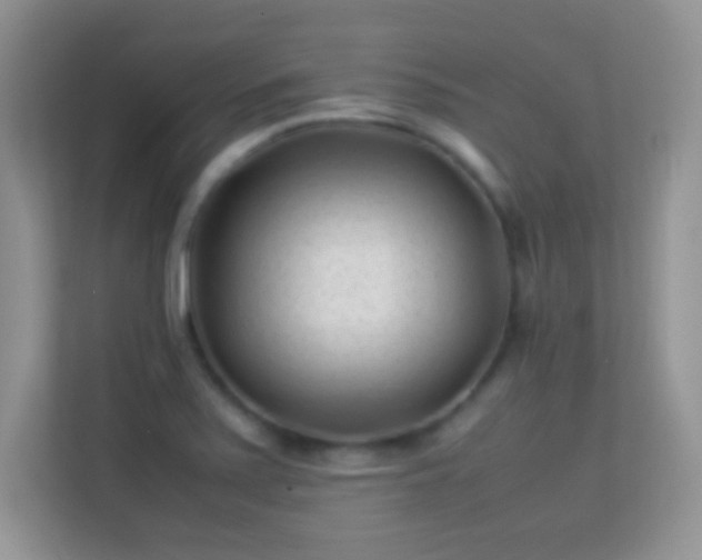 X0000113541371200909250917