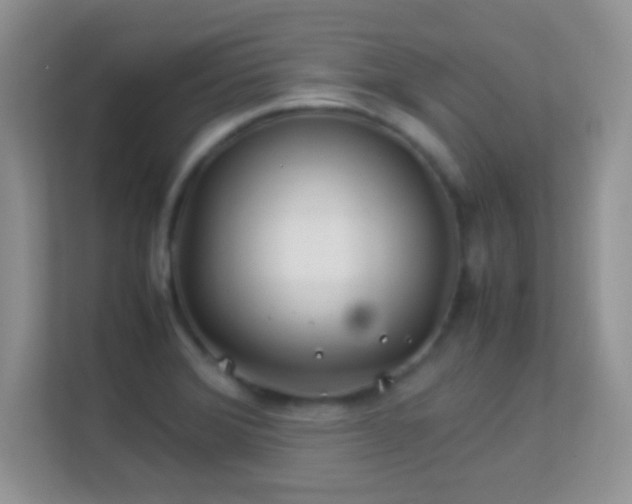 X0000113541372200909250917