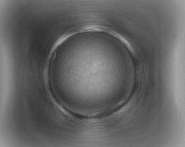 X0000113541373200909250917