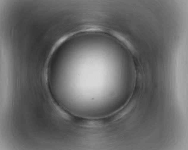 X0000113541375200909250917