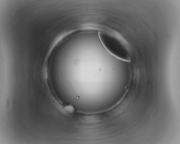 X0000113541376200909250917