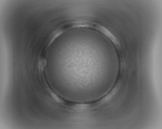 X0000113541377200909250917