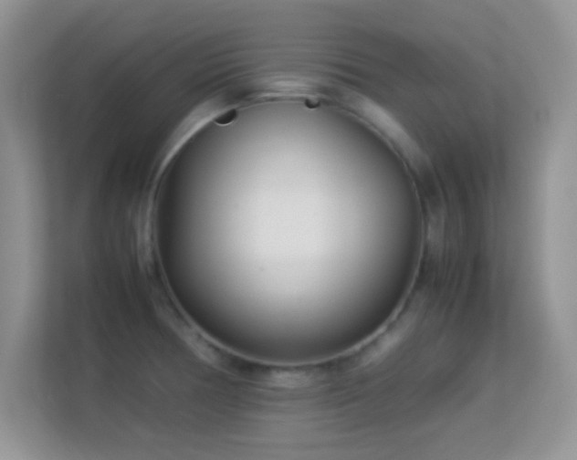 X0000113541378200909250917