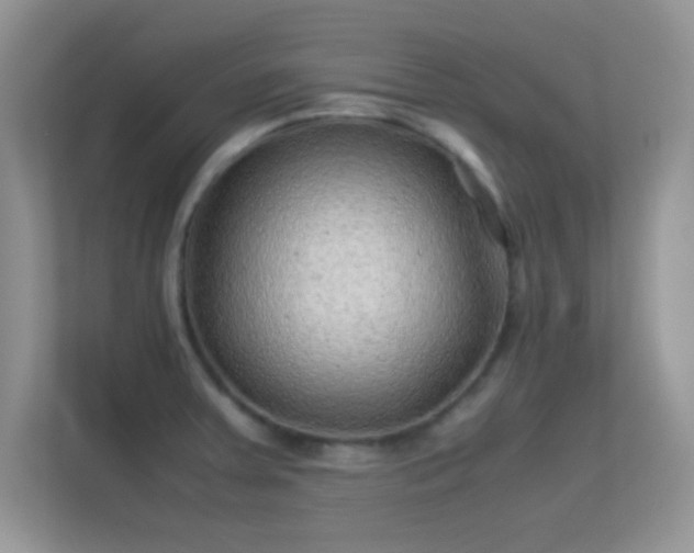 X0000113541379200909250917