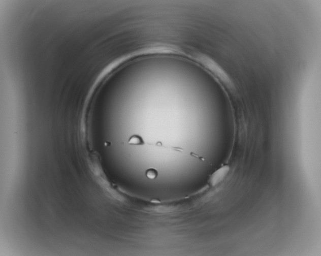 X0000113541380200909250917