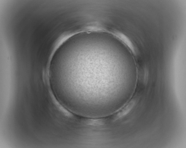 X0000113541381200909250917