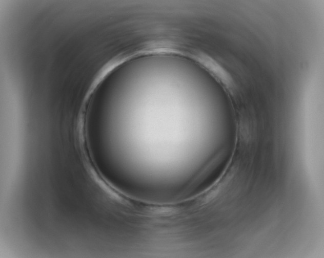 X0000113541382200909250917
