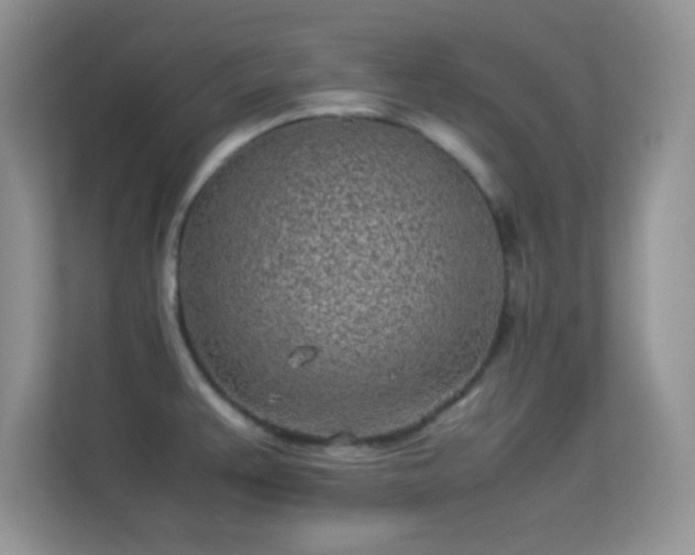 X0000113541383200909250917