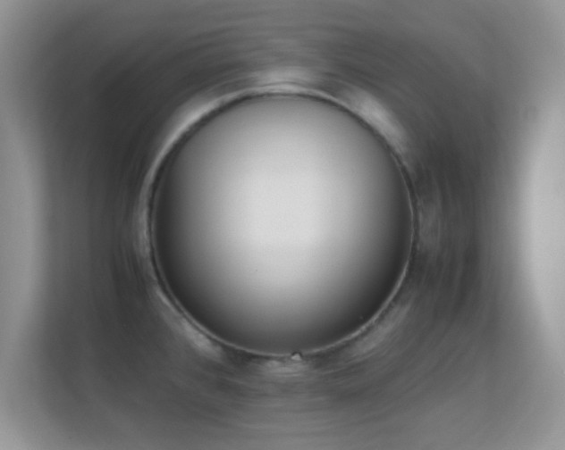 X0000113541384200909250917