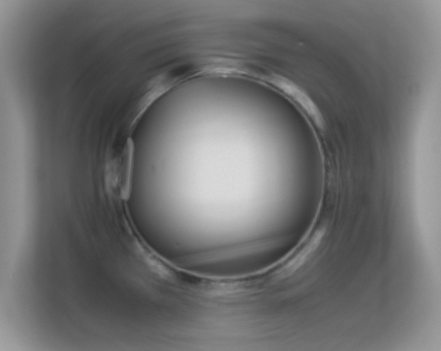 X0000113541385200909250917