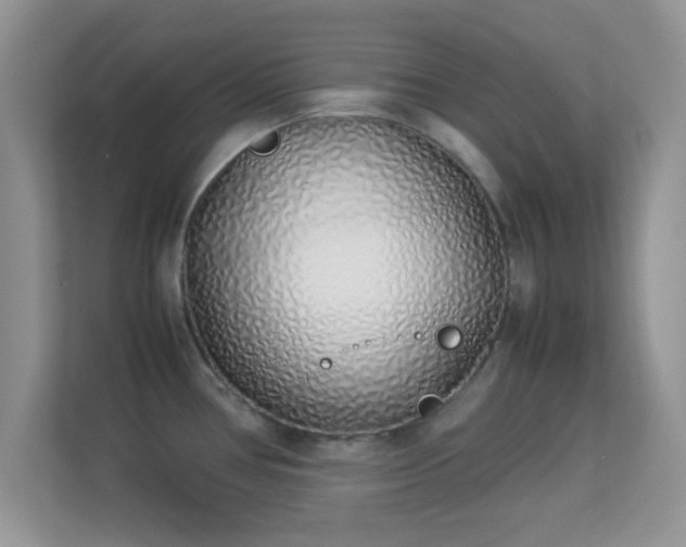 X0000113541386200909250917