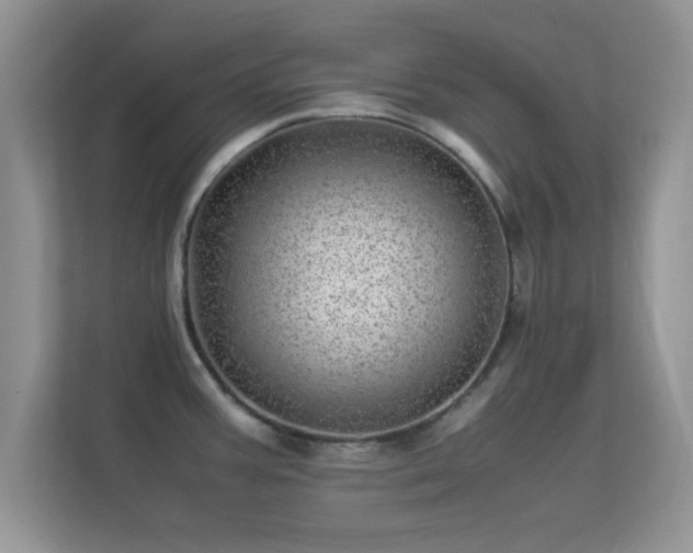 X0000113541387200909250917