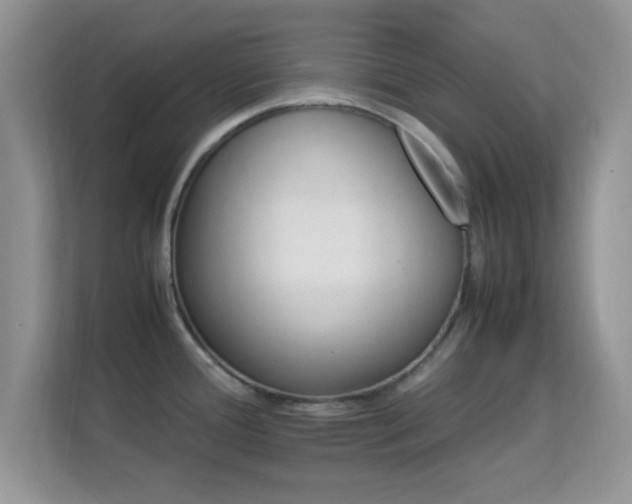 X0000113541388200909250917