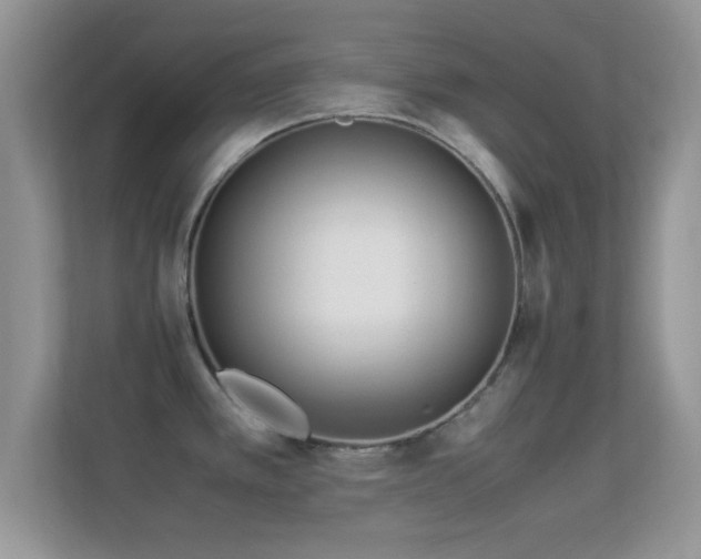 X0000113541389200909250917
