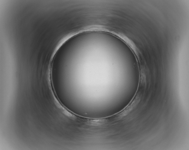 X0000113541390200909250917