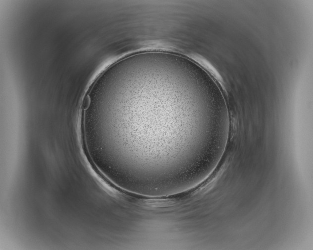 X0000113541391200909250917